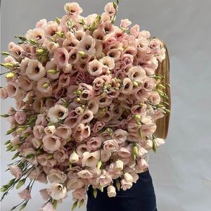 Bundle 3 ( items under $100 ) and save 20percent off. plus free ship